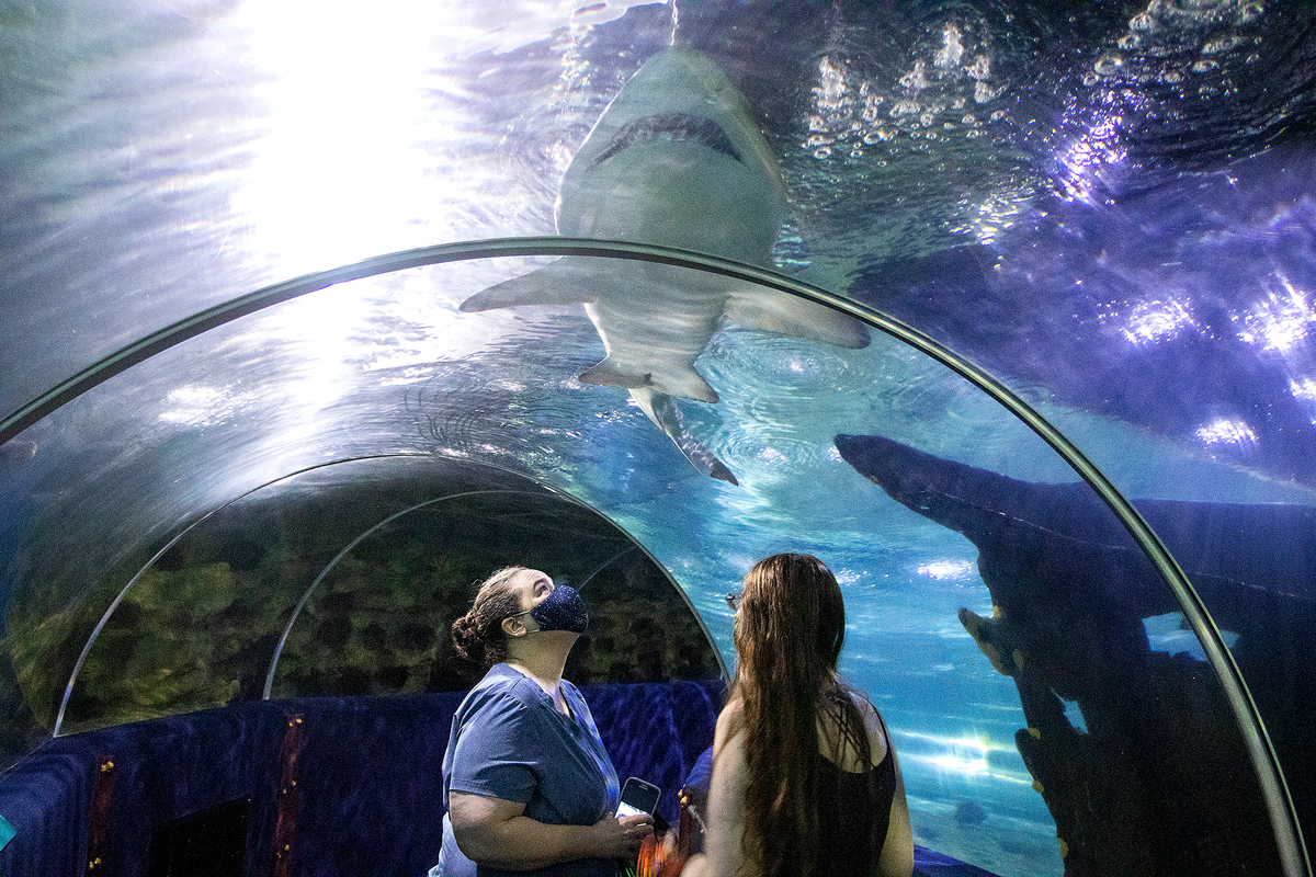 Students Visit the Greater Cleveland Aquarium TRECA