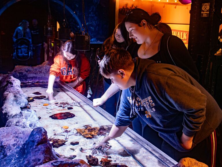 2026 Cleveland Aquarium 03