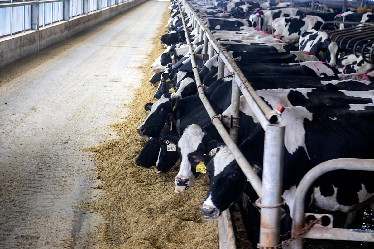 Students Visit MVP Dairy TRECA