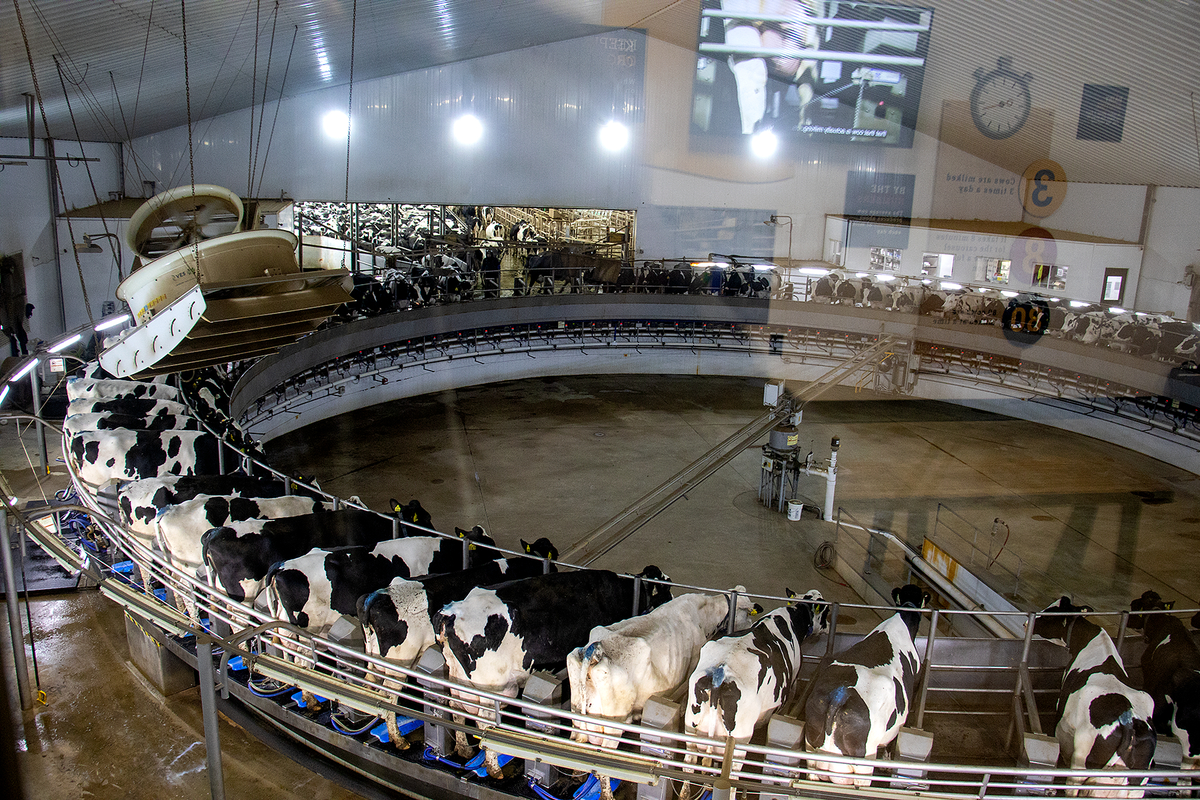 Students Visit MVP Dairy TRECA