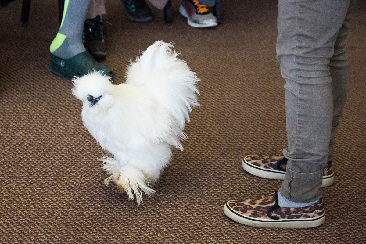 TRECA Digital Academy students participate in Career Day TRECA