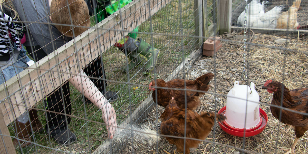 Students Visit Gorman Heritage Farm TRECA